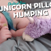 BBW DDlg Babygirl Humps Unicorn Pillow